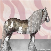 Horse Color:Plaid  White Spotted Silver Bay Ice Onyx 