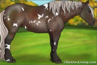 Horse Color:White Spotted Silver Brown