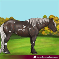 Horse Color:White Spotted Silver Brown 