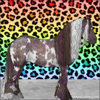 Horse Color:Plaid  White Spotted Liver Chestnut 