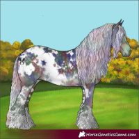 Horse Color:Nacre White Spotted Silver Black Chinchilla 