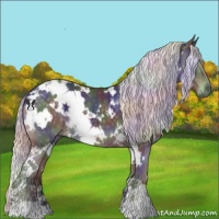 Horse Color:Nacre White Spotted Silver Black Chinchilla 