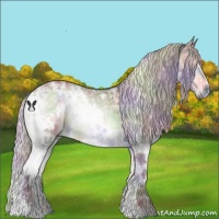 Horse Color:Nacre White Spotted Chocolate Silver Brown Chinchilla Ice Onyx 