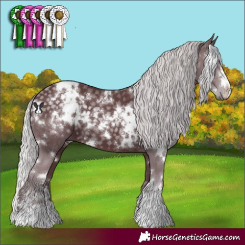 Horse Color:White Spotted Chocolate Silver Black Chinchilla 
