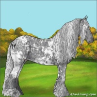 Horse Color:White Spotted Silver Black Chinchilla Ice