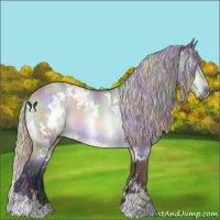 Horse Color:Nacre White Spotted Silver Bay Chinchilla 