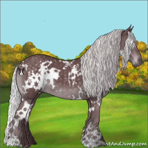 Horse Color:White Spotted Chocolate Silver Black Chinchilla
