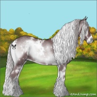 Horse Color:White Spotted Chocolate Silver Blue Onyx Chinchilla 