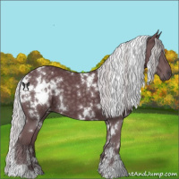 Horse Color:White Spotted Chocolate Silver Black Chinchilla