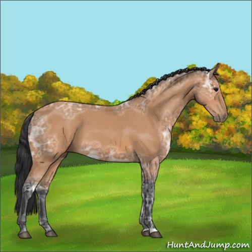 Horse Color:Bay Ice 