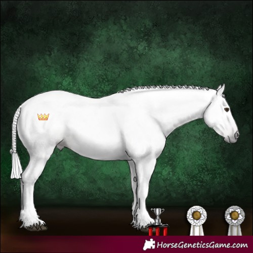 Horse Color:Gray Chocolate Palomino Tobiano 