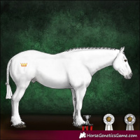 Horse Color:Gray Chocolate Palomino Tobiano 