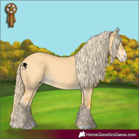 Horse Color:Palomino Dun Splash 