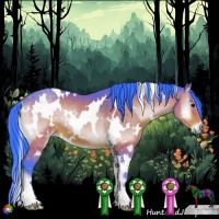 Horse Color:Watercolor White Spotted Brown Onyx 