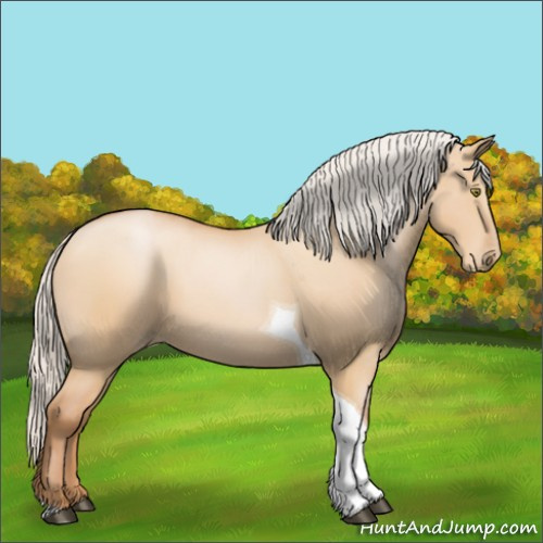 Horse Color:Silver Bay Pearl Dun Tobiano
