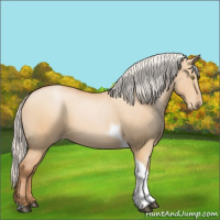 Horse Color:Silver Bay Pearl Dun Tobiano 