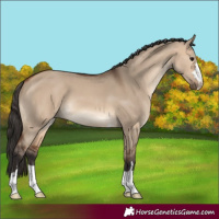 Horse Color:Bay Dun