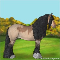 Horse Color:Brown Dun  and Brown Dun 