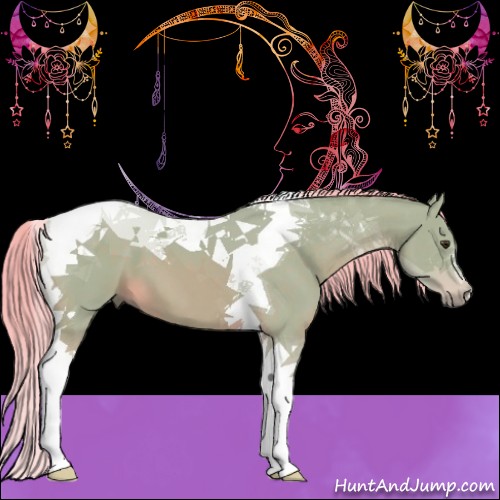 Horse Color:Watercolor Chestnut Tobiano 