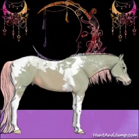 Horse Color:Watercolor Chestnut Tobiano 