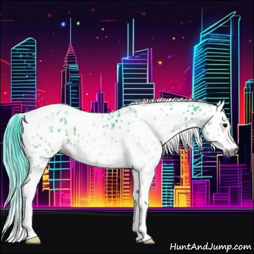 Horse Color:Gray Watercolor Bay Tobiano Appaloosa 
