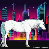 Horse Color:Gray Watercolor Bay Tobiano Appaloosa