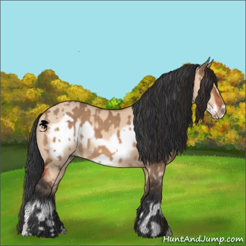 Horse Color:Bay Dun and Bay Dun Frame