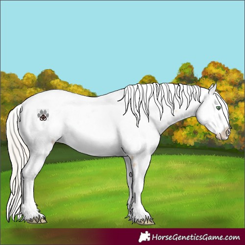 Horse Color:Gold Cream Champagne Dun Near Fewspot 