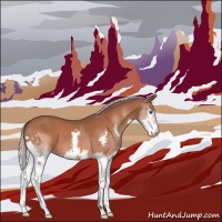 Horse Color:Silver Bay Splash 