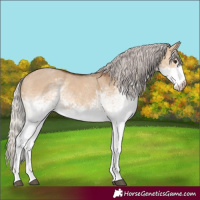 Horse Color:White Spotted Silver Brown Dun 