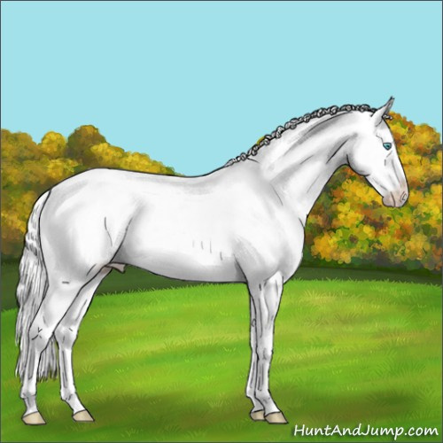 Horse Color:White Spotted Silver Smoky Creme Dun Splash Frame Rabicano 