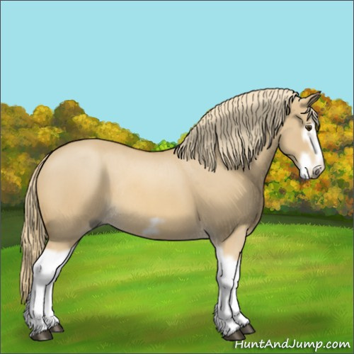 Horse Color:Red Dun Roan Splash Frame Rabicano 