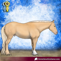 Horse Color:Gold Cream Champagne 
