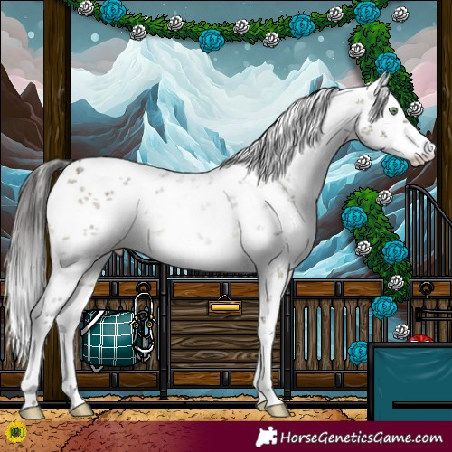 Horse Color:White Spotted Buckskin Dun Sabino 