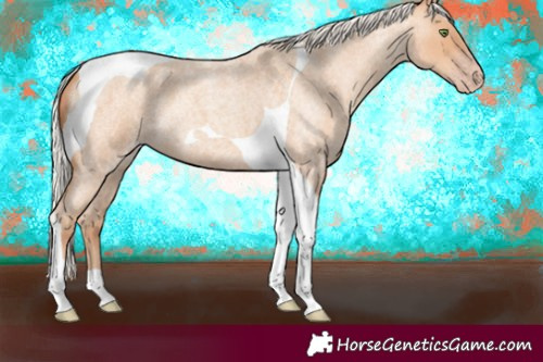 Horse Color:Silver Classic Champagne Roan Tobiano 