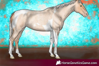 Horse Color:Silver Classic Champagne Roan Tobiano 