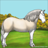 Horse Color:Silver Bay Pearl Dun Splash 