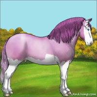 Horse Color:Gold Champagne Pearl Splash 