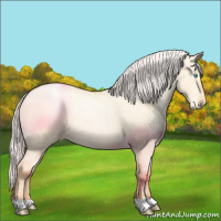 Horse Color:Silver Amber Champagne Pearl Dun Appaloosa 