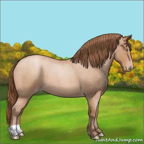 Horse Color:Bay Roan Pearl