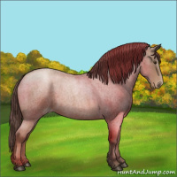 Horse Color:Blue Roan Pearl 