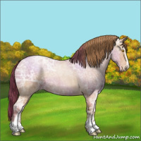 Horse Color:Bay Ice Roan Pearl Sabino