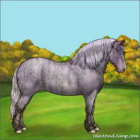 Horse Color:Silver Amber Cream Champagne Ice Roan Pearl Dun 