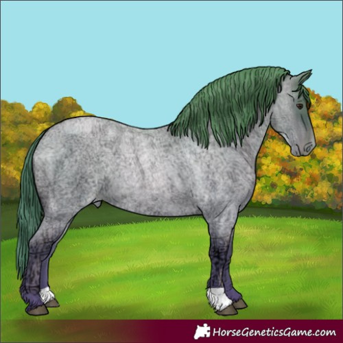 Horse Color:Blue Ice Roan Pearl 
