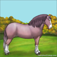 Horse Color:Bay Roan Pearl Splash