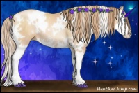 Horse Color:White Spotted Gold Champagne Pearl Sabino Splash
