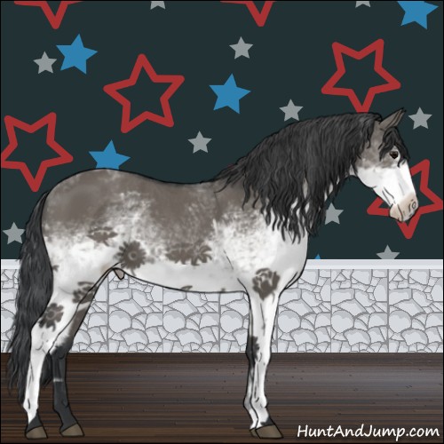 Horse Color:White Spotted Grullo 
