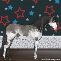 Horse Color:White Spotted Grullo