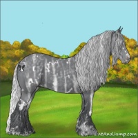 Horse Color:White Spotted Silver Black Chinchilla Ice Sabino 