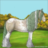 Horse Color:Watercolor Black Pearl Tobiano 
